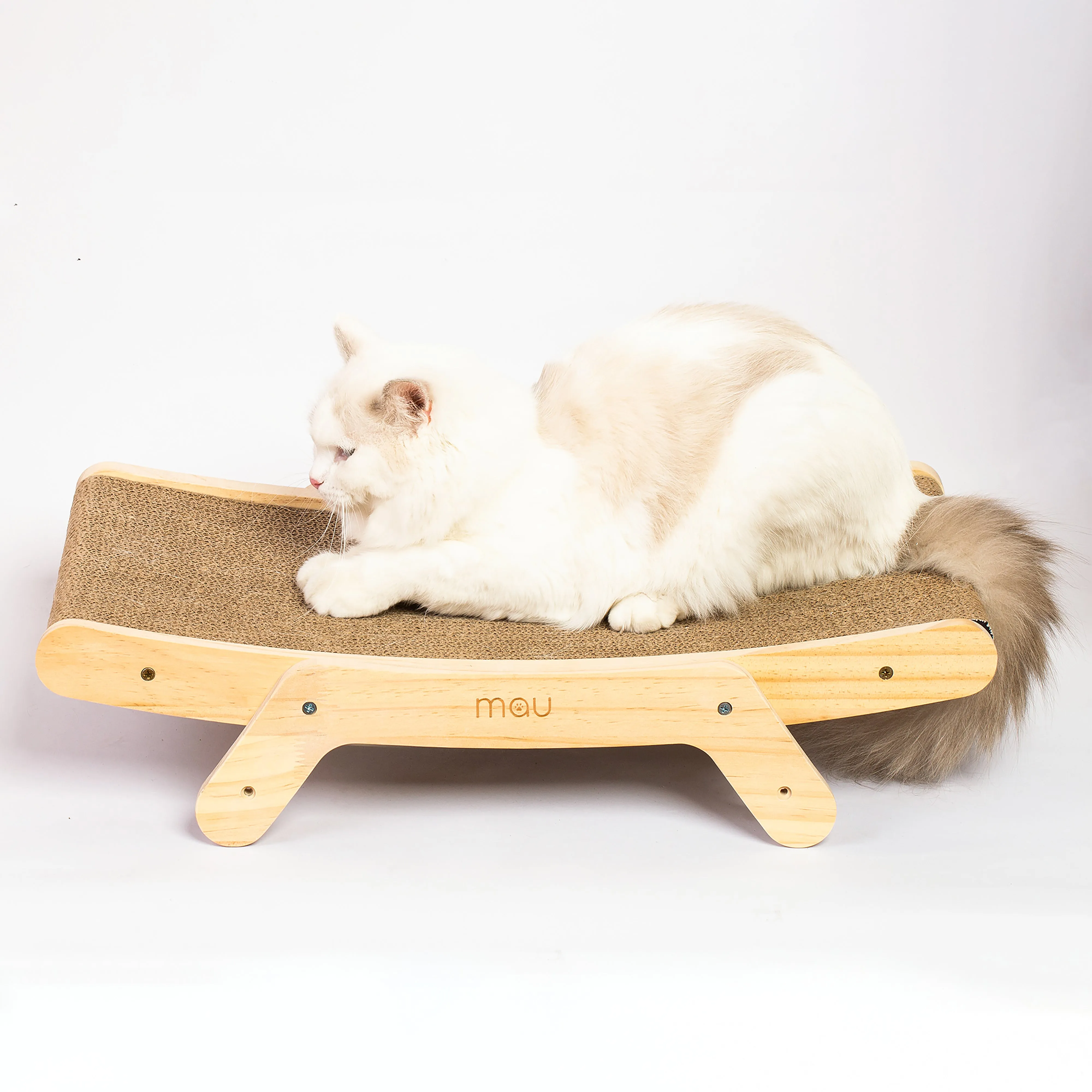 Emory Cat Scratcher